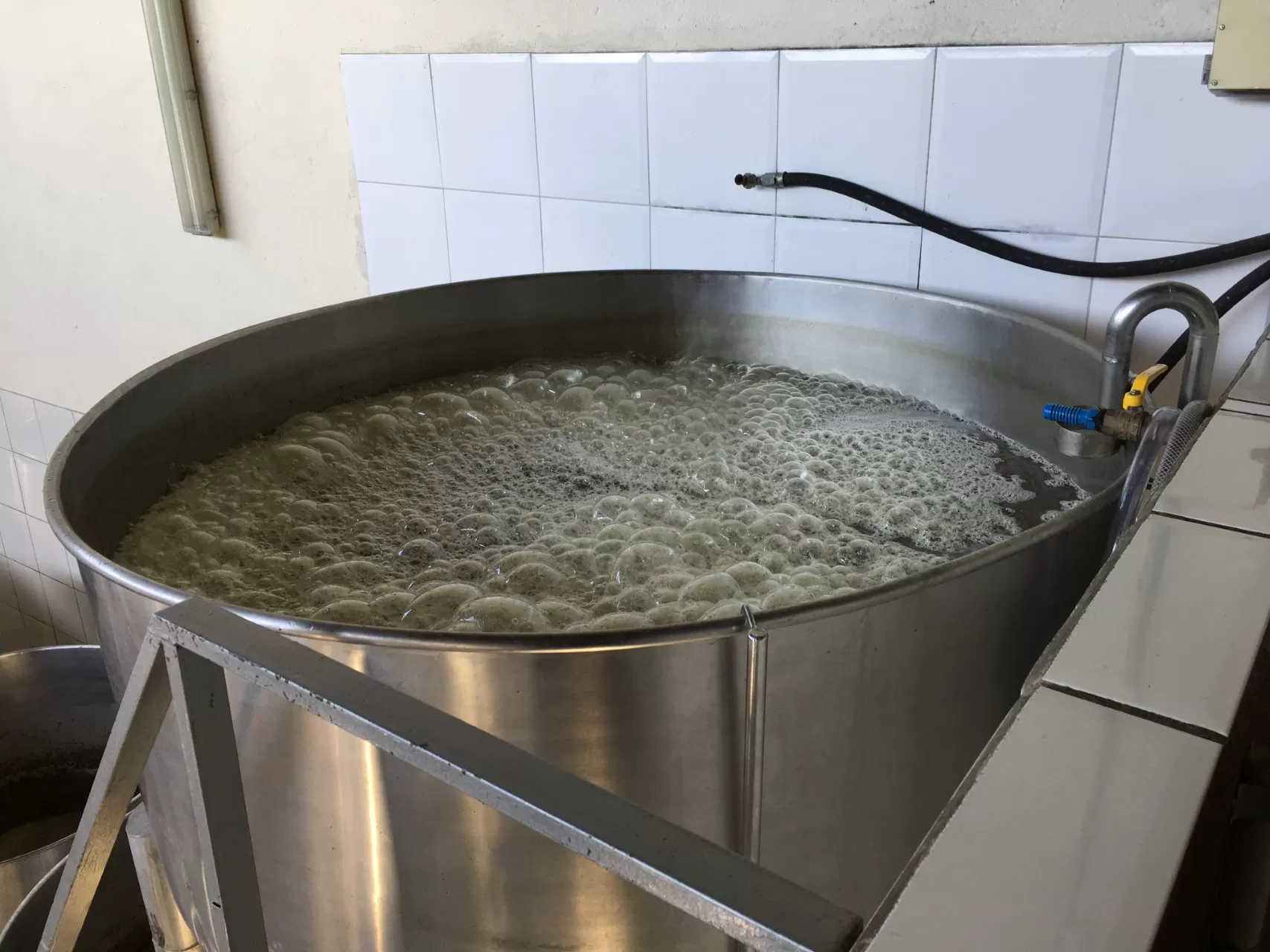 Fermentação (2)