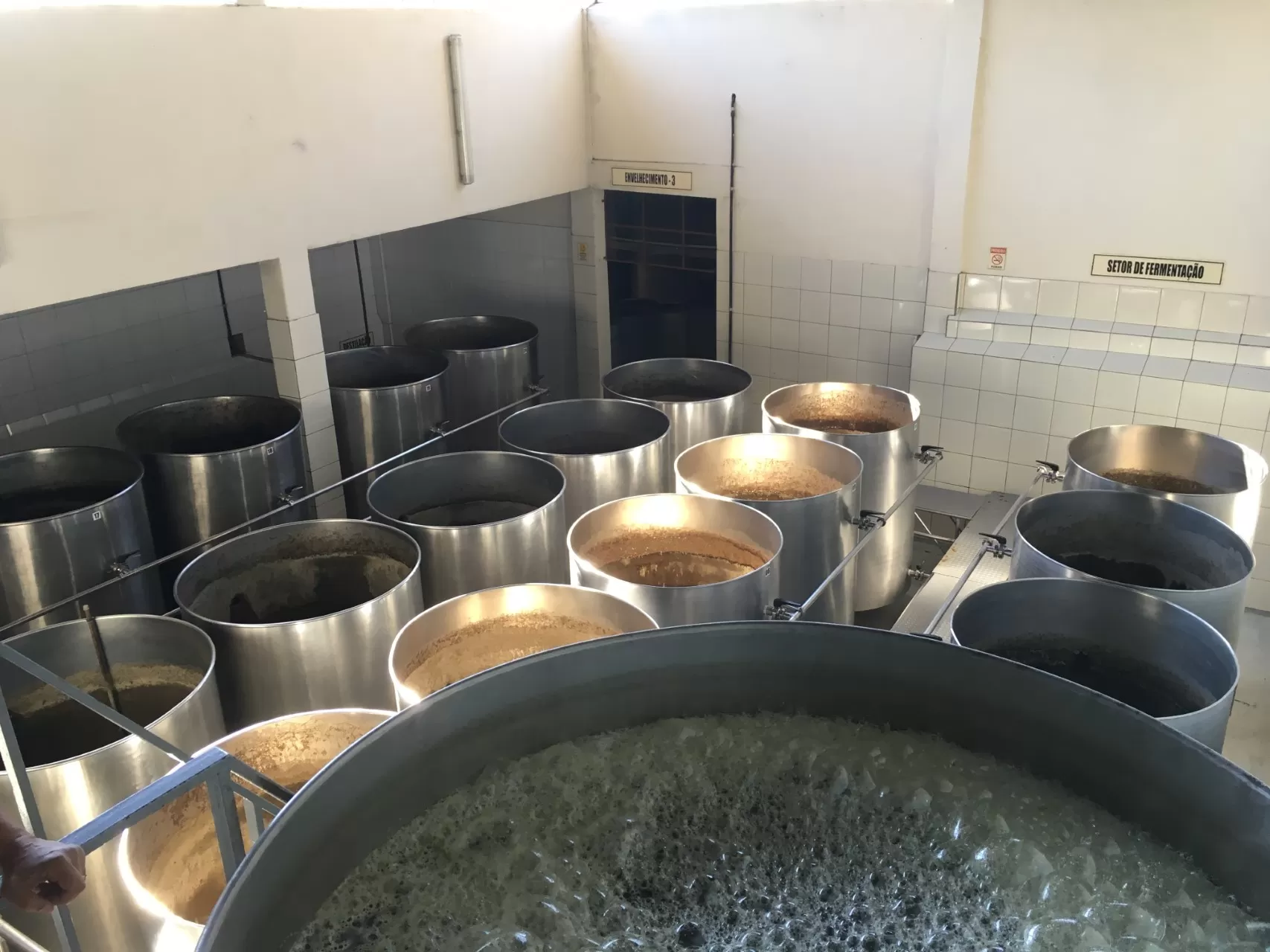 Fermentação (3)