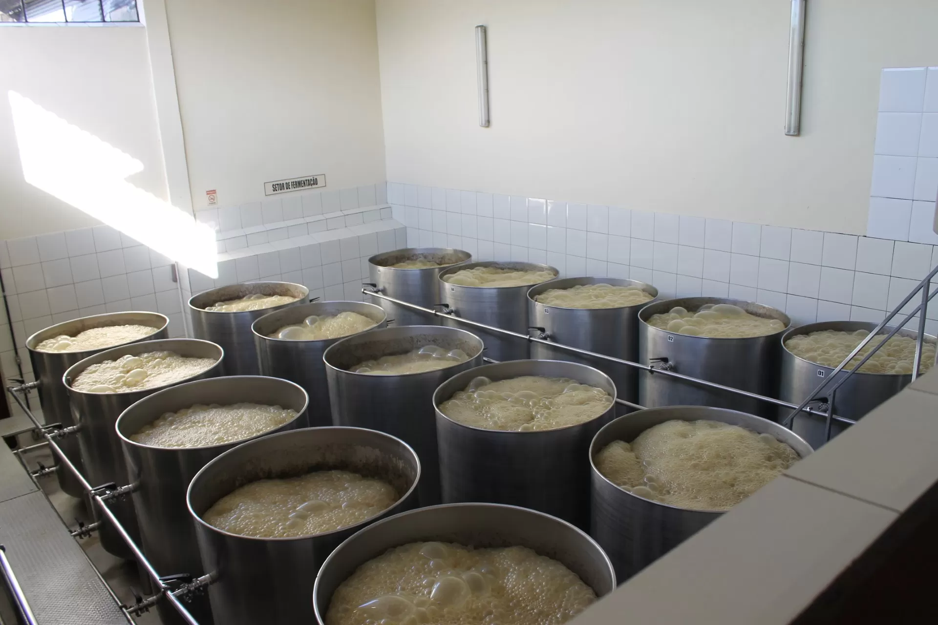 Fermentação (4)