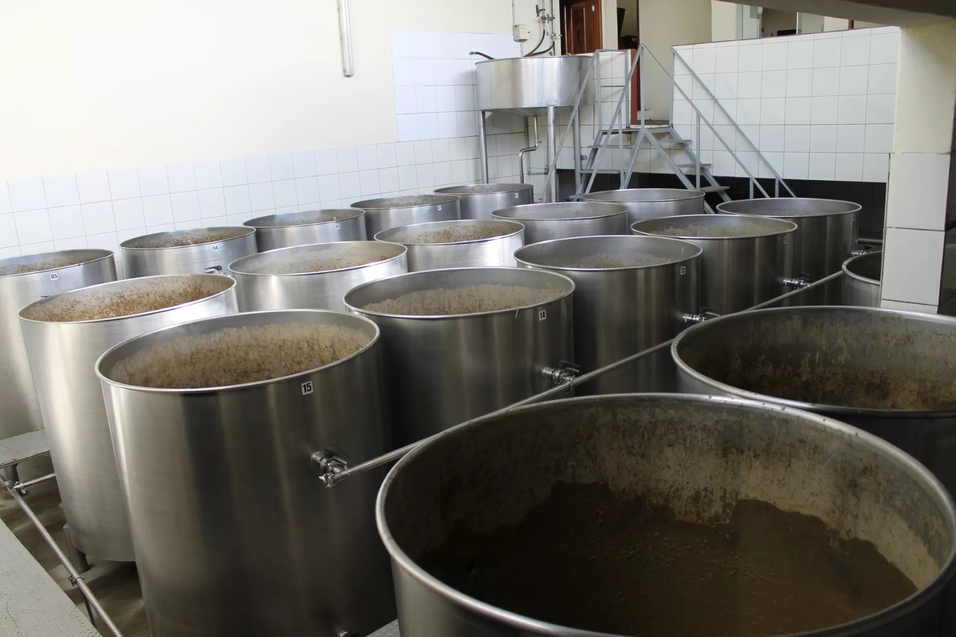 Fermentação (5)